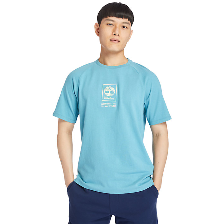 Heavyweight Logo T-Shirt for Men in Blue-