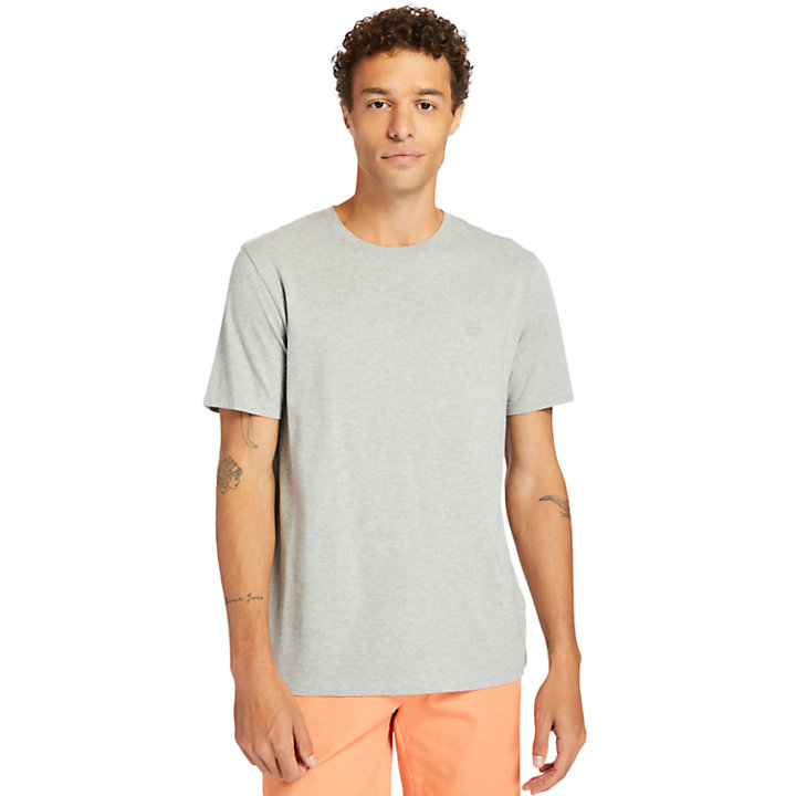 Cocheco River T-shirt van Supima®-katoen voor heren in grijs-
