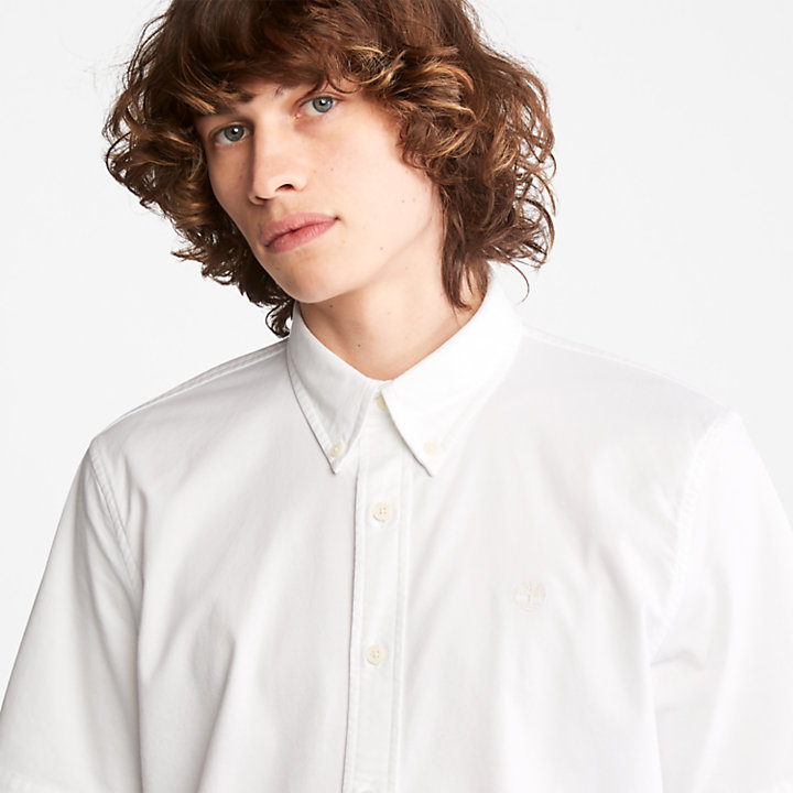 Pleasant River Oxford Shirt for Men in White-