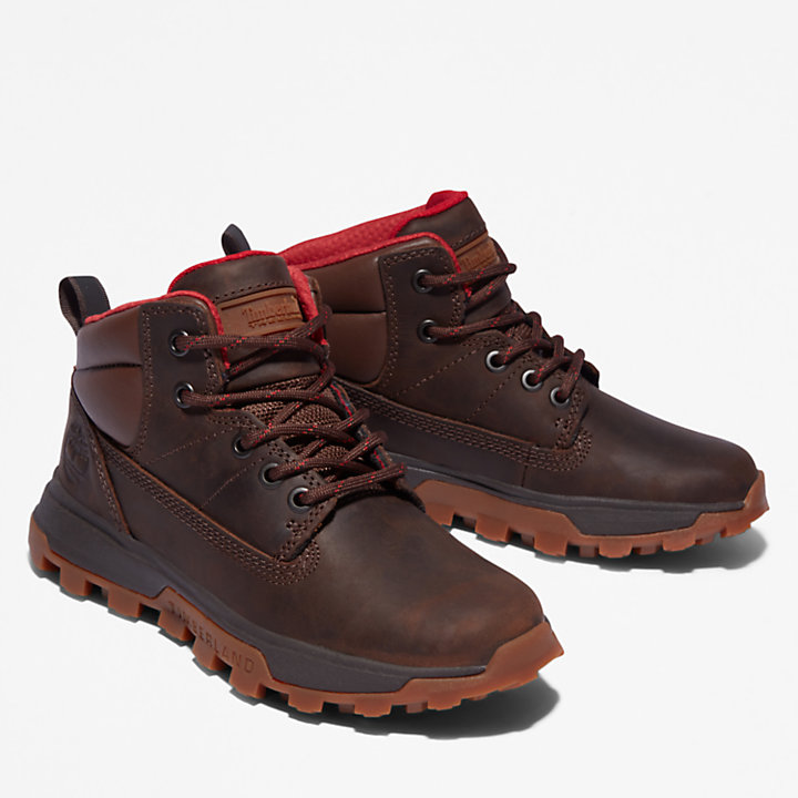 Treeline Mid Hiker for Youth in Dark Brown | Timberland