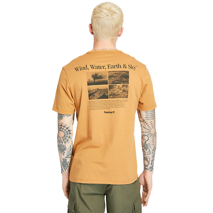 T-shirt da Uomo Archive-Print in giallo-