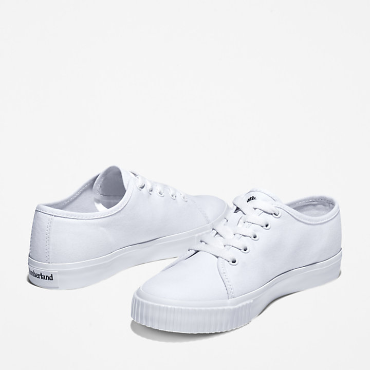 Skyla Bay Canvas Shoe for Women in White-