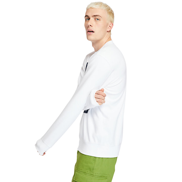 Mountain-to-River Graphic Sweatshirt for Men in White-