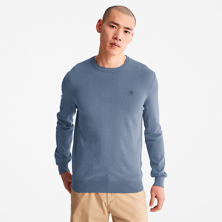 Garment-Dyed Sweatshirt for Men in Navy-