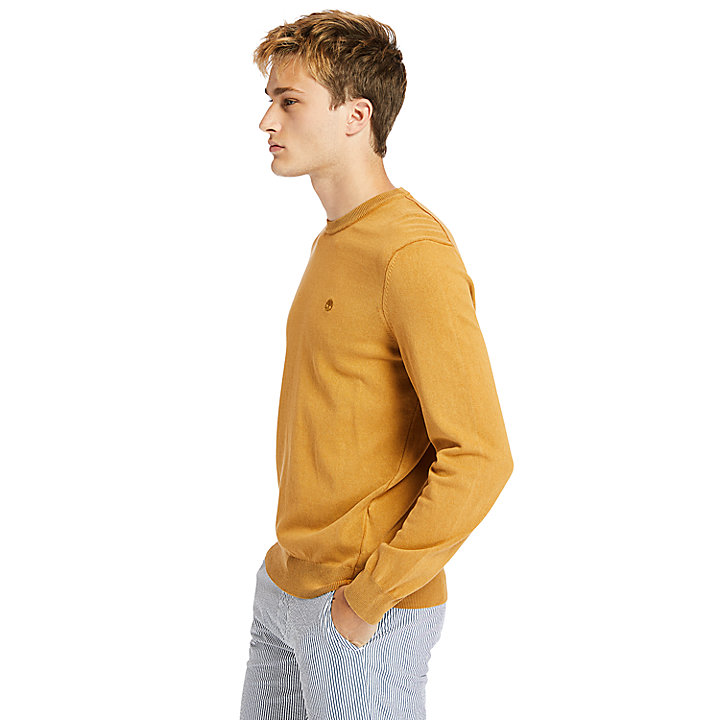 Garment-Dyed Sweatshirt for Men in Yellow