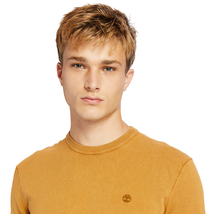 Stückgefärbtes Sweatshirt für Herren in Gelb-