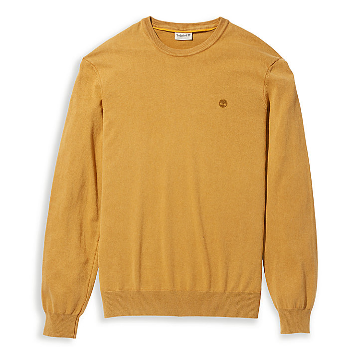 Garment-Dyed Sweatshirt for Men in Yellow