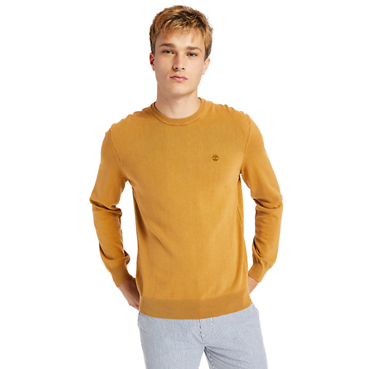 Garment-Dyed Sweatshirt for Men in Yellow-