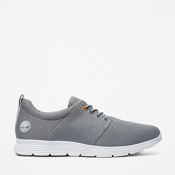 Killington Oxford Shoe for Men in Grey