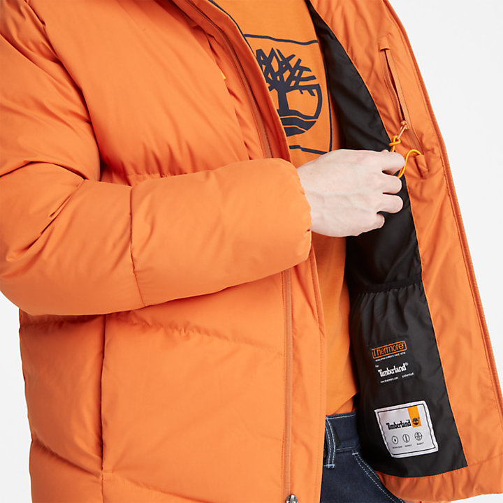 Neo Summit Hooded Jacket for Men in Brown-