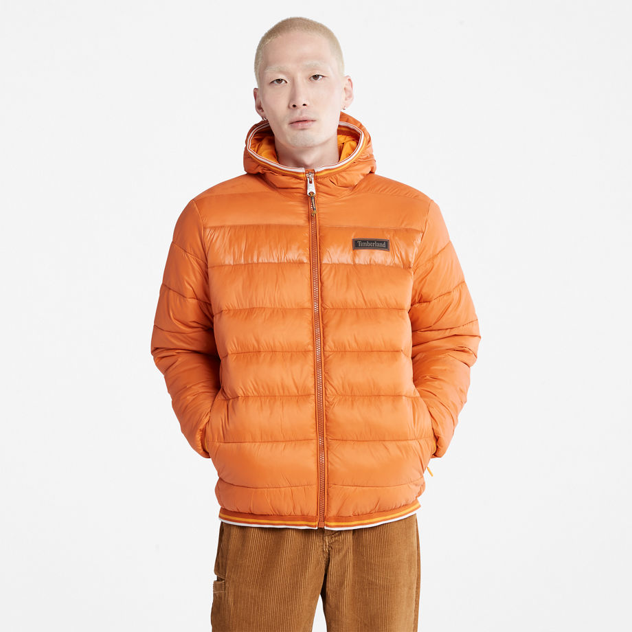 Timberland Garfield Midweight Hooded Puffer Jacket For Men In Orange Orange, Size M