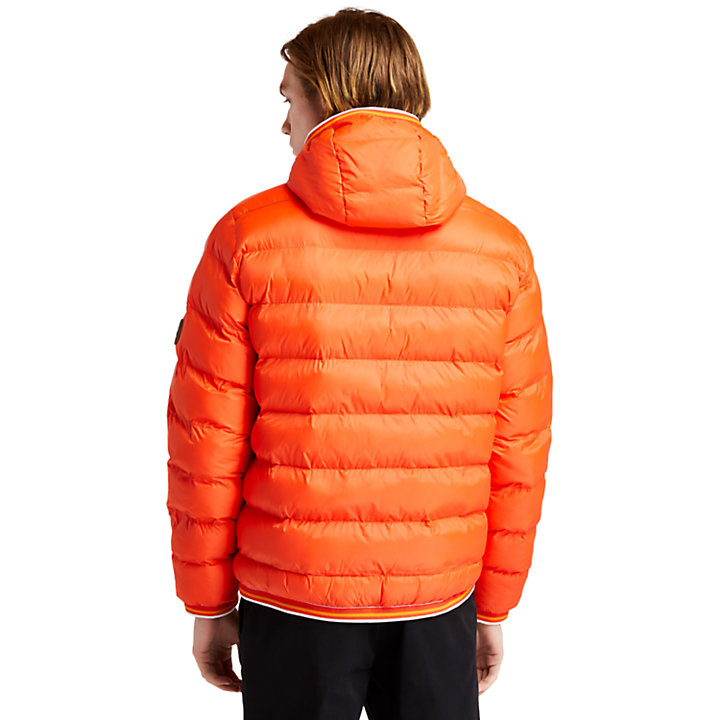 Garfield Hooded Puffer Jacket for Men in Orange-