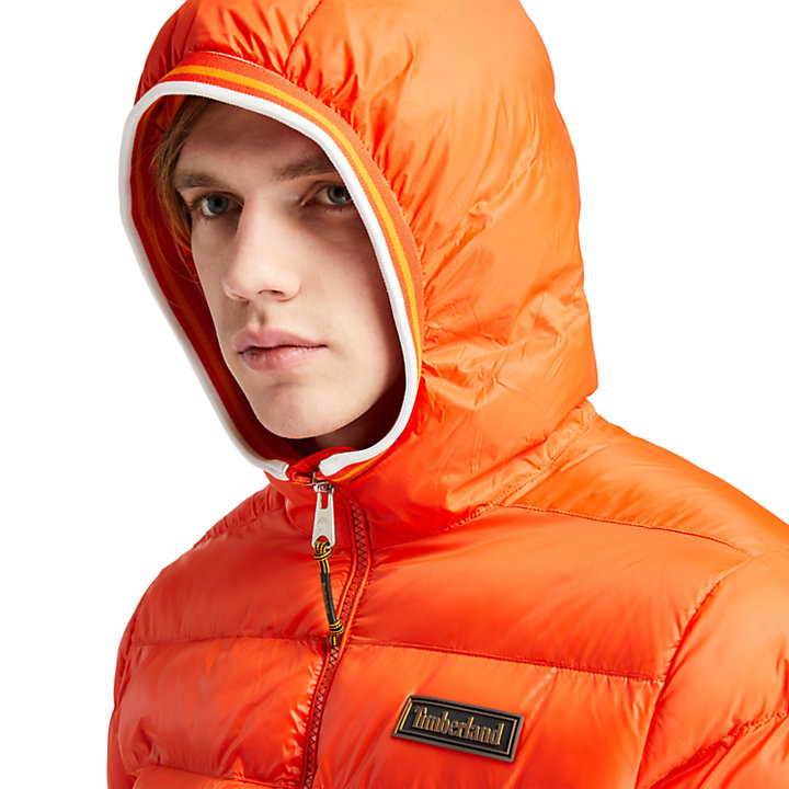Garfield Hooded Puffer Jacket for Men in Orange-