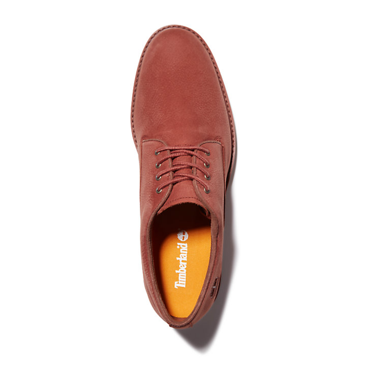 Men's Stormbucks Waterproof Oxford Shoes in Brown-