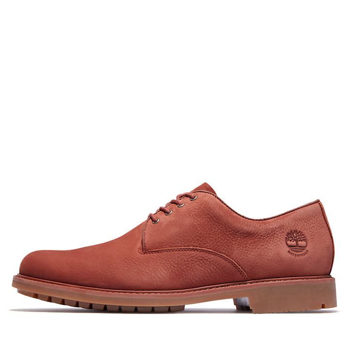 Men's Stormbucks Waterproof Oxford Shoes in Brown-