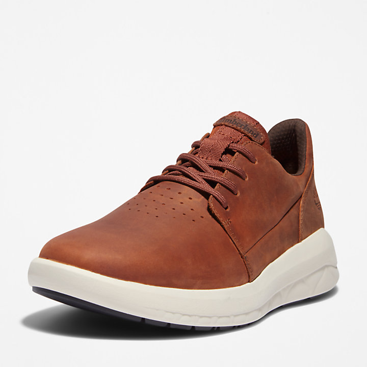 Bradstreet Ultra Trainer for Men in Brown | Timberland