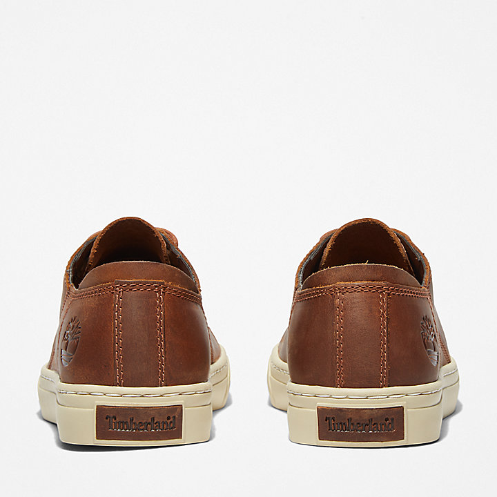 Adventure 2.0 Trainer for Men in Light Brown | Timberland