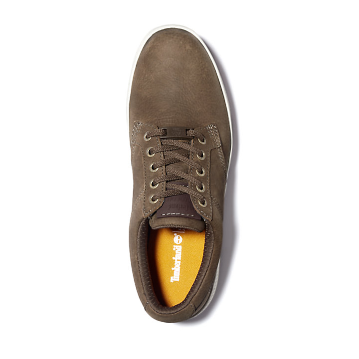 Men's Cityroam Oxford Shoes in Greige-