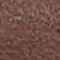 30 mm riem met omwikkelde lus voor dames in bruin 
