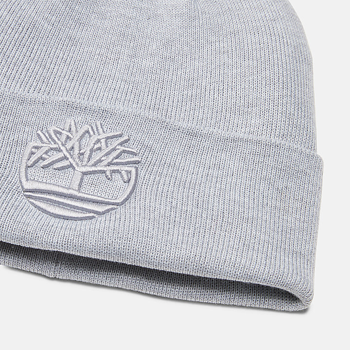Tonal 3D Embroidery Beanie for Men in Light Grey