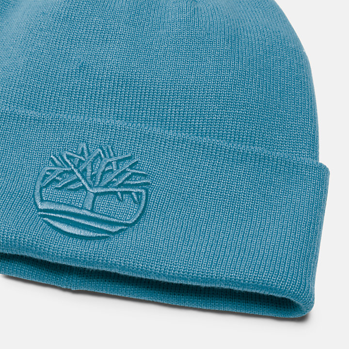 Tonal 3D Embroidery Beanie for Men in Blue-