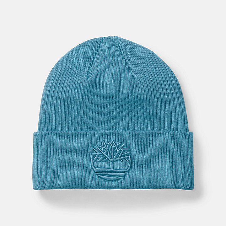 Tonal 3D Embroidery Beanie for Men in Blue