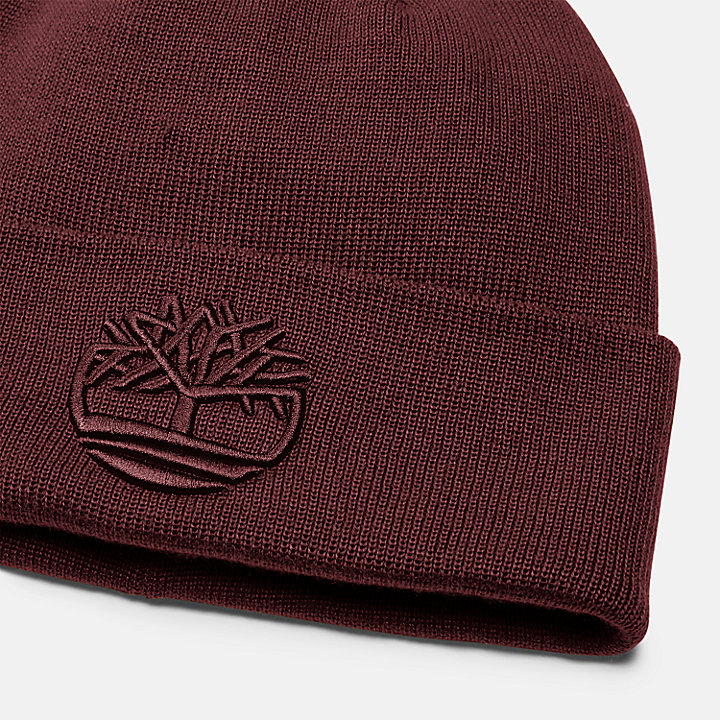 Tonal 3D Embroidery Beanie for Men in Burgundy