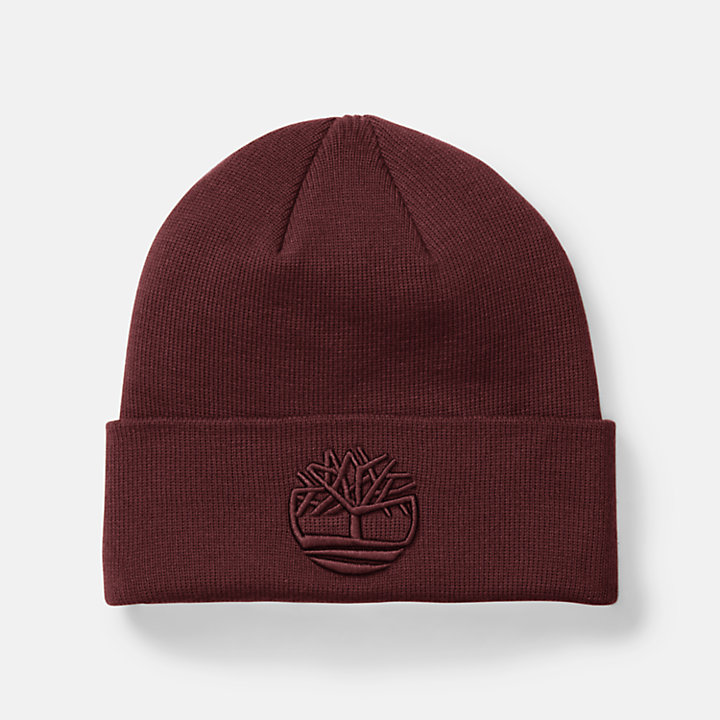 Tonal 3D Embroidery Beanie for Men in Burgundy-