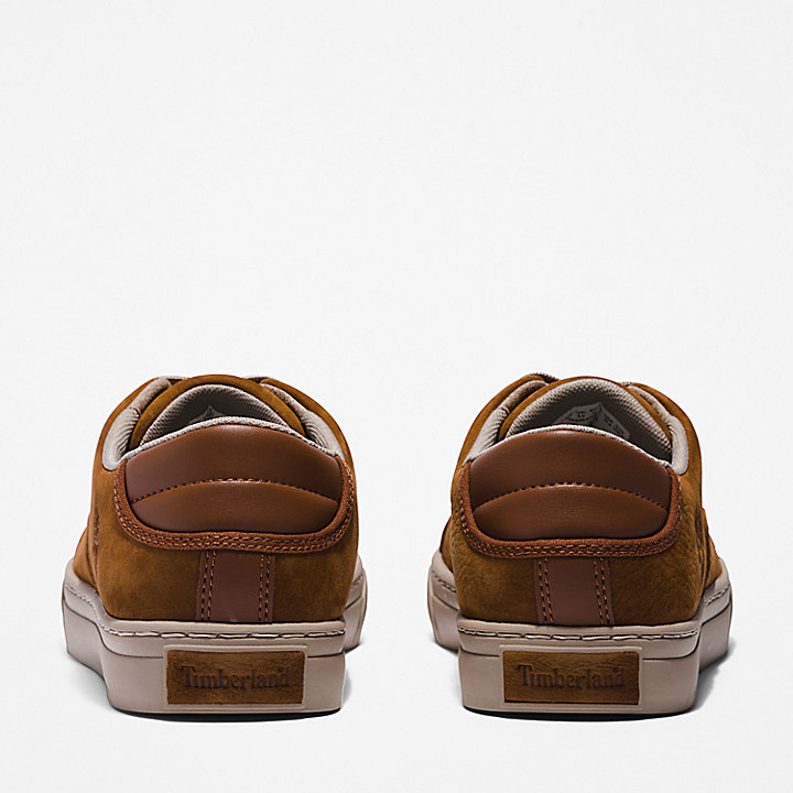Adventure 2.0 Low Trainer for Men in Brown | Timberland