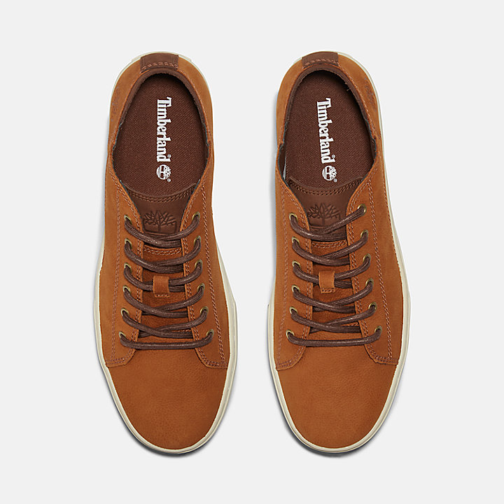 Adventure 2.0 Trainer for Men in Light Brown or Brown | Timberland