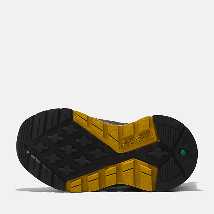 Field Trekker Sneaker voor peuters en kleuters in zwart/goud-