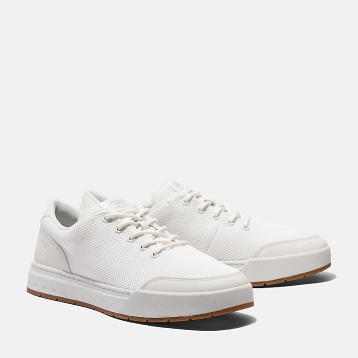 Maple Grove Trainer for Men in White | Timberland