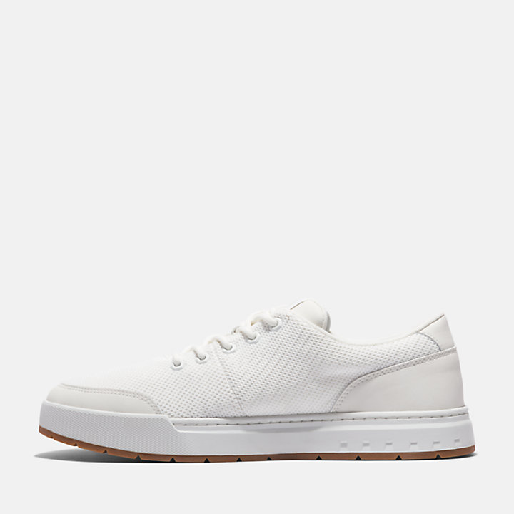 Maple Grove Trainer for Men in White | Timberland