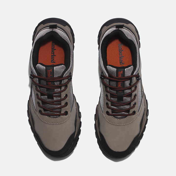 Chaussure de randonnée Lincoln Peak Lite pour homme en gris-