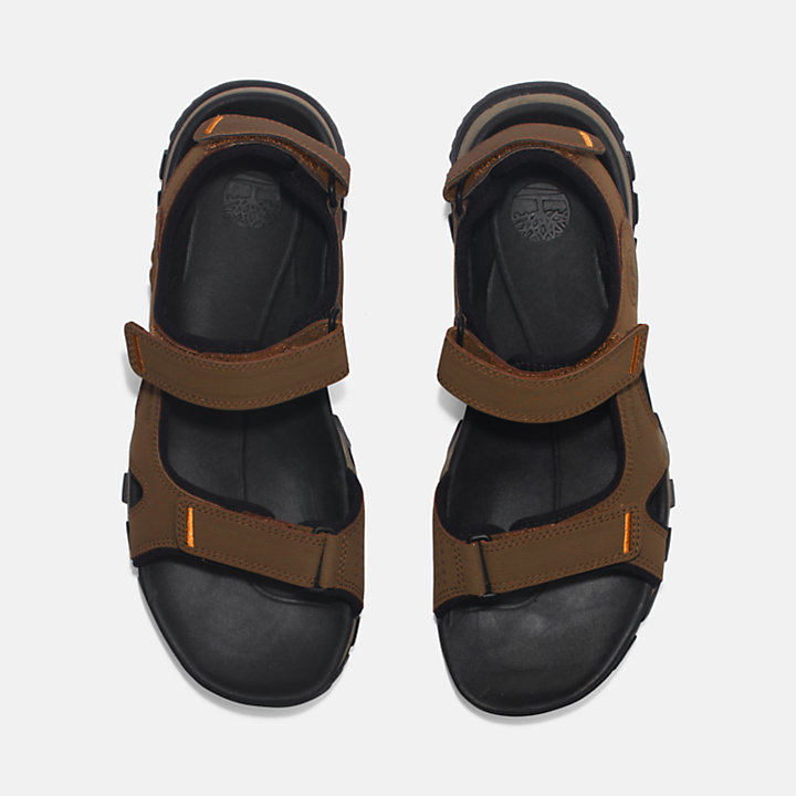 Lincoln Peak Two-strap Sandal for Men in Brown-