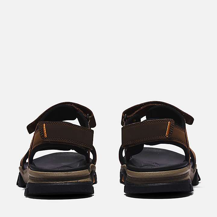 Lincoln Peak Two-strap Sandal for Men in Brown