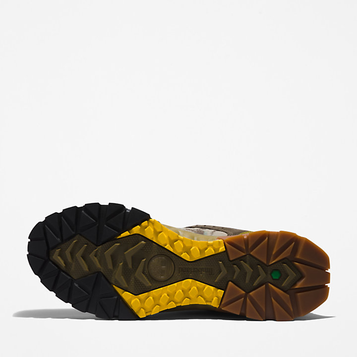 Sapato de Caminhada Bee Line x Timberland®  Solar Ridge para Homem em verde-