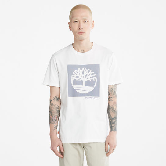 T-shirt avec logo arbre à pois pour homme en blanc | Timberland