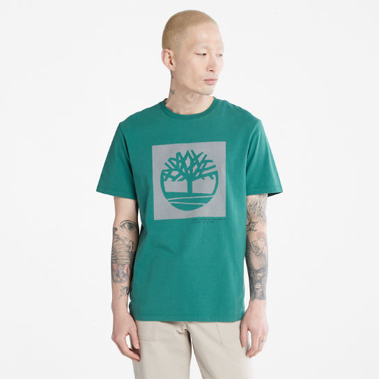 T-shirt da Uomo con Logo ad Albero Punteggiato in verde | Timberland