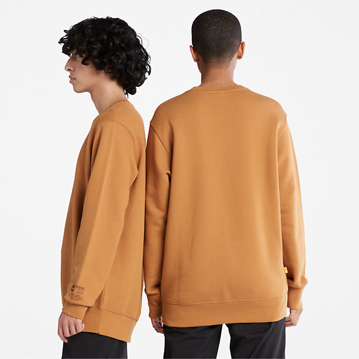 Comfort Lux Essentials Raglan Sweatshirt in Yellow-