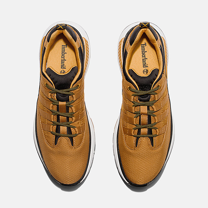 Euro Trekker Lace-Up Low Trainer for Men in Yellow