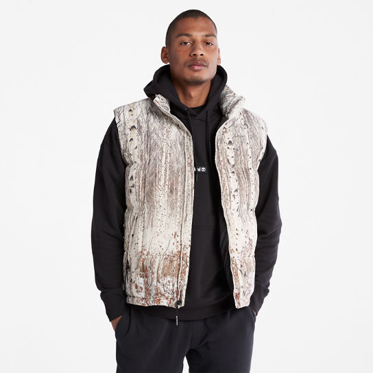 Graphic Gilet for Men in Beige | Timberland