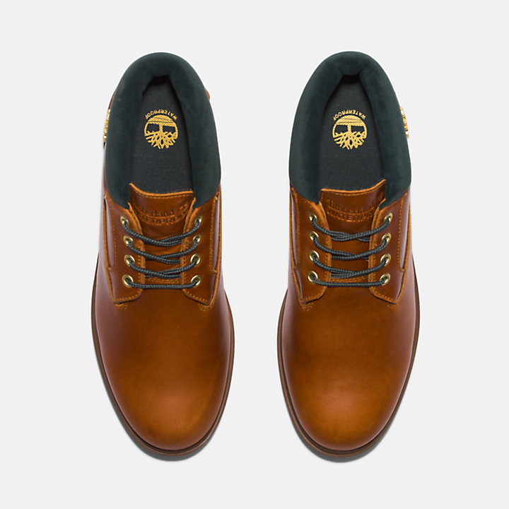 Timberland® 1973 Newman Chukka for Men in Brown-