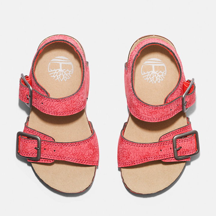 Castle Island Backstrap Sandal for Toddler in Pink-