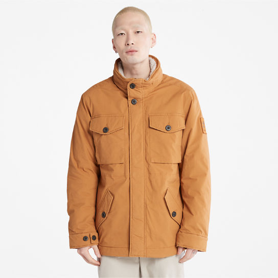 Mount Kelsey Field Jacket for Men in Yellow | Timberland
