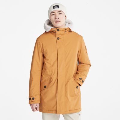 wolf Extreme armoede bord Mt. Kelsey Fishtail Parka voor heren in oranje | Timberland