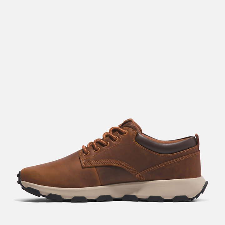 Zapatillas deportivas GreenStride™ Winsor Park para hombre en marrón-
