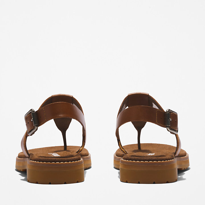 Chicago Riverside Thong Sandal for Women in Brown-