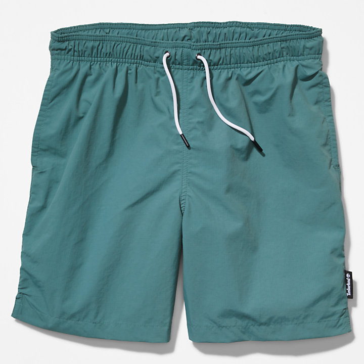 All Gender Windbreaker Shorts in Green-