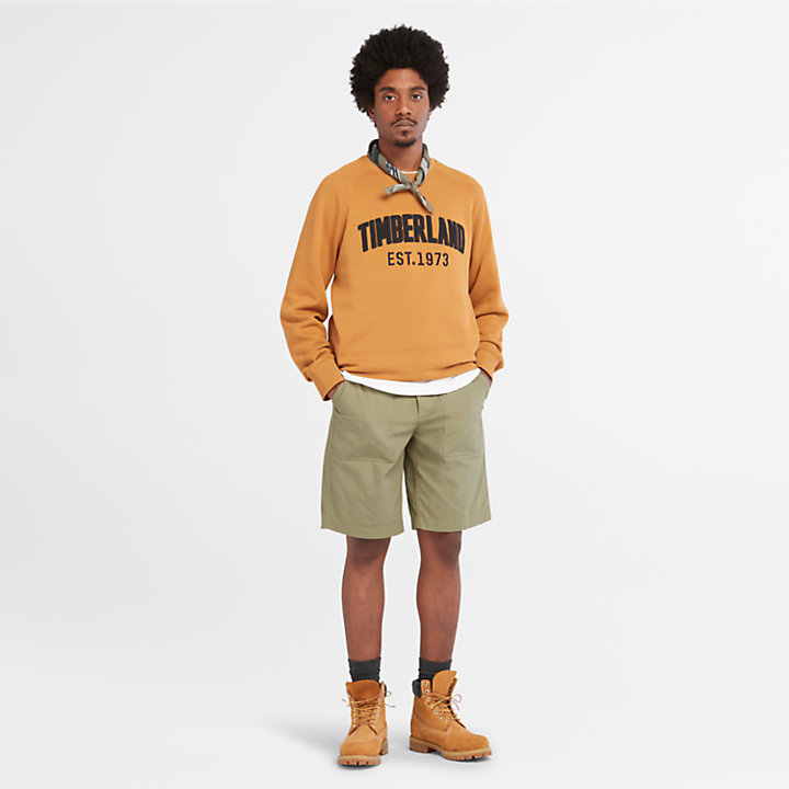Modern Wash Logo Sweatshirt for Men in Orange-